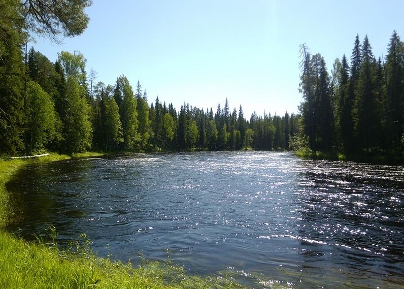 Отчет о водном походе по реке Кожа