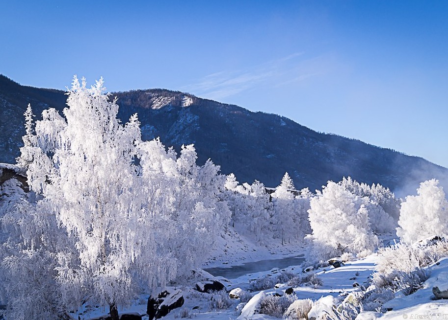 Отчет о лыжном походе 1 категории сложности по республике Алтай