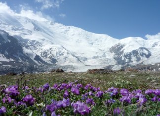 Рассказы: Памирский экстрим