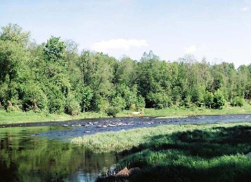 Отчет о водном походе по реке Ловать (Псковская, Новгородская области)