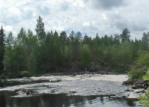 Отчет о прохождении водного туристско-спортивного маршрута второй категории сложности по рекам Муезерка — Чирка-Кемь