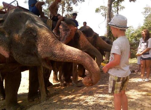 Путешествие за слонами. Отчет о путешествии в Таиланд
