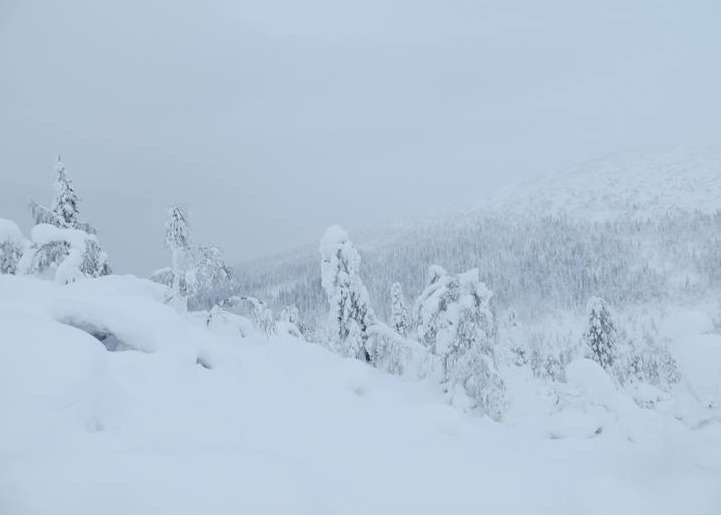 Отчёт о лыжном туристском походе  I-ой категории сложности по Колвицким Тундрам