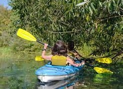 Пойти в поход (Водный туризм): Поход по реке Пра летом (даты обсуждаются)  с детьми 