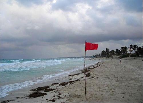 Ужасы океана или почему нельзя купаться при красных флагах на Кубе