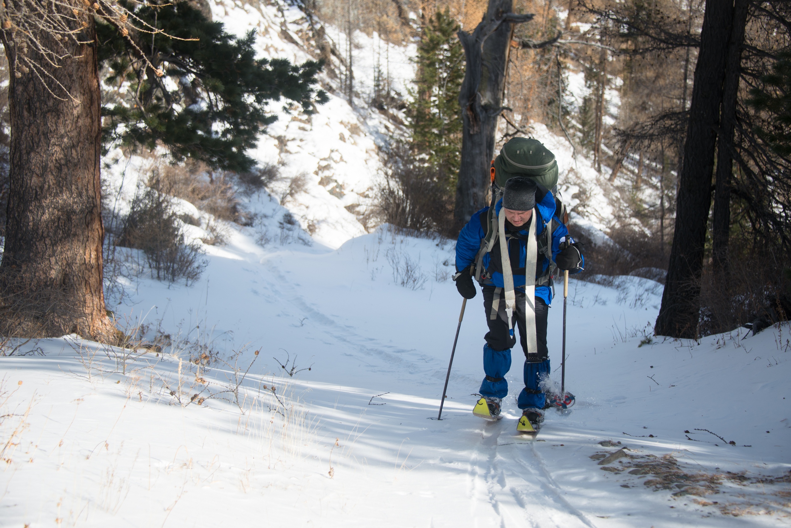 Шифонеры или композитные лыжи с дубовым скользяком специально для туризма