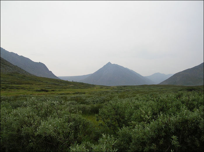 Отчет о пешем туристском походе 3 категории сложности по Приполярному Уралу Отчет о пешем туристском походе 3 категории сложности по Приполярному Уралу