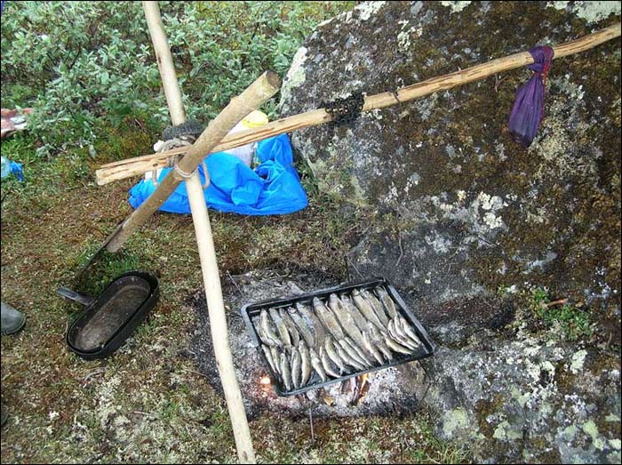 Отчет о пешем туристском походе 3 категории сложности по Приполярному Уралу Отчет о пешем туристском походе 3 категории сложности по Приполярному Уралу