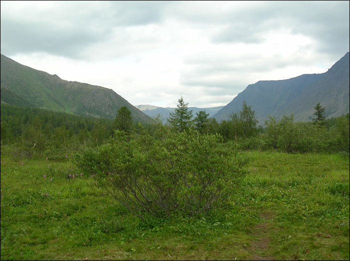 Отчет о пешем туристском походе 3 категории сложности по Приполярному Уралу Отчет о пешем туристском походе 3 категории сложности по Приполярному Уралу