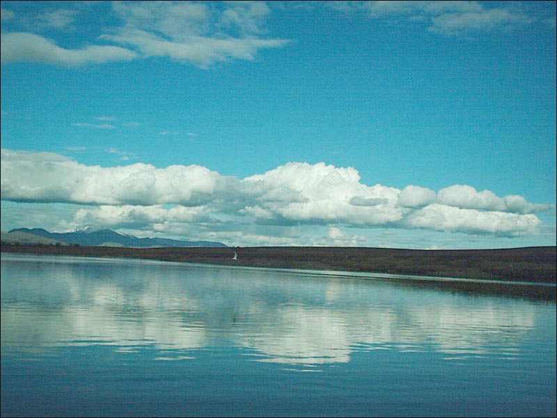 Полярные хроники Полярные хроники