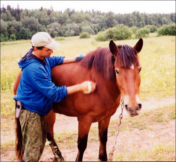 Люди и кони. Фотохроника похода по Петровской дороге