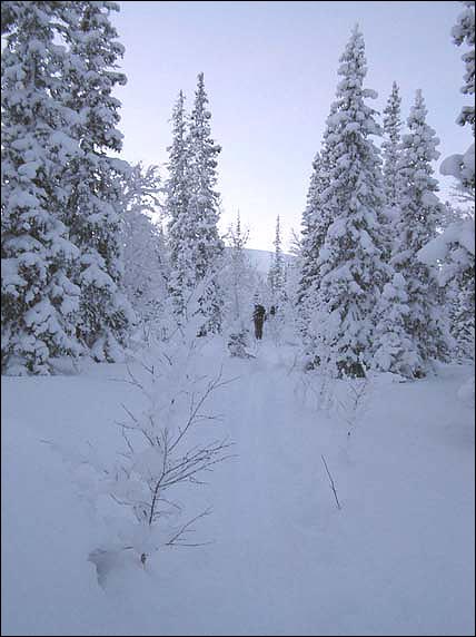 Отчёт о лыжном походе II категории сложности по Кольскому полуострову (Хибинские тундры), совершённом 3-10 января 2005 года