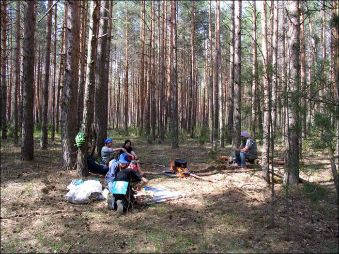 река поле в шатуре. Смотреть фото река поле в шатуре. Смотреть картинку река поле в шатуре. Картинка про река поле в шатуре. Фото река поле в шатуре