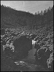 Отчет о пеше-водном путешествии (катамараны) 5 й категории сложности в районе плато Путорана по маршруту: р. Гулями - р. Нерал - р. Иркинда, совершенном в июле-августе 1984 года