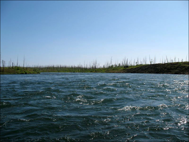Озеро глубокое рыба. Озеро кета Красноярский край. Озеро кета плато Путорана. Река Рыбная Таймыр. Рыбы озера Таймыр.