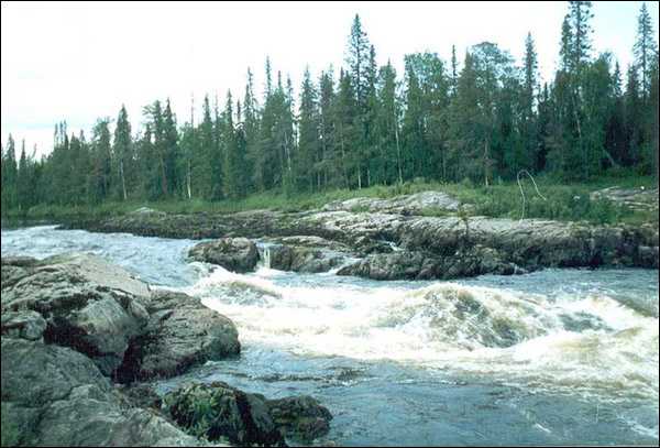 Тунтсайоки, Кутсайоки, Тумча - 1996 год Тунтсайоки, Кутсайоки, Тумча - 1996 год