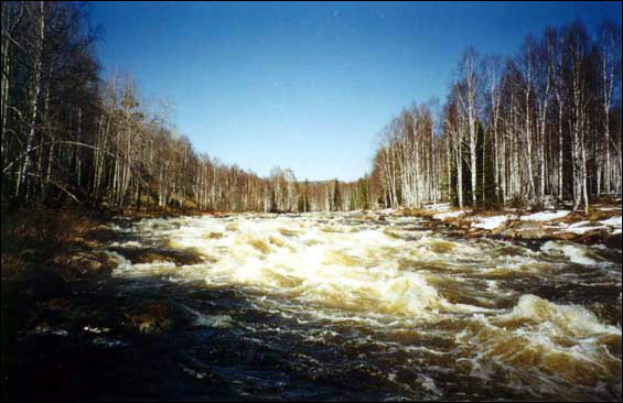 Отчет о пеше-водном туристическом путешествии III (третьей) категории сложности в районе Южного Урала по маршруту р. Большой Инзер - р. Малый Инзер - р. Лемеза, совершенном с 28 апреля по 6 мая 2001 года