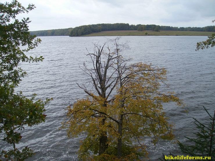 Осень на Вазузском водохранилище