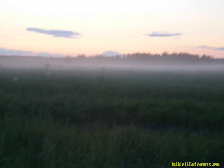 Туман в Завидово