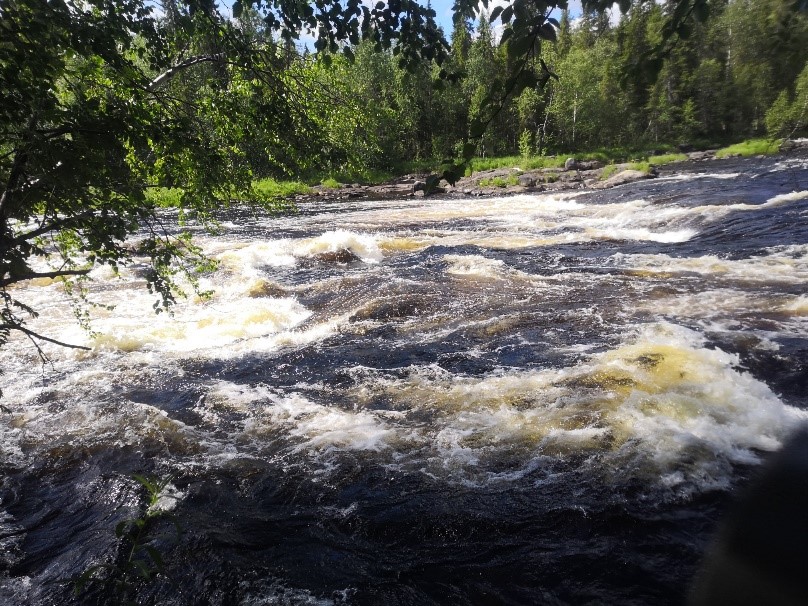Отчет о водном туристском походе по реке Пистайоки