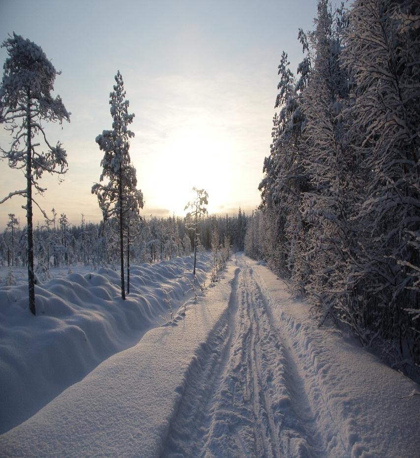 Отчет о лыжном походе 2 категории сложности в районе Средней Карелии