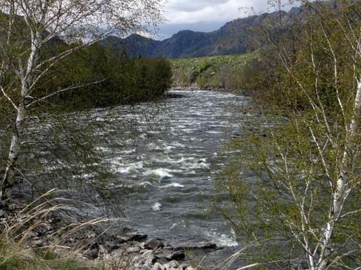 Отчет о водном походе третьей категории сложности по реке Бухтарма
