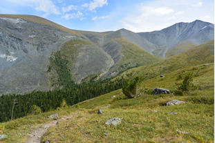Отчет о  пешем  туристском походе третьей категории сложности по Алтаю 