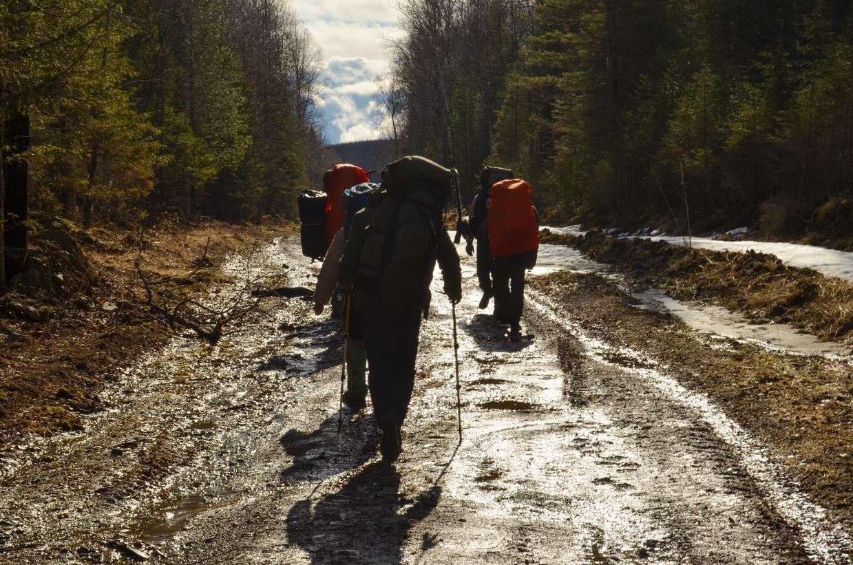 Отчёт о прохождении пешеходного спортивного туристского маршрута II категории сложности по Северному Уралу