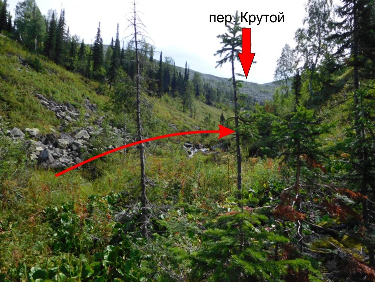 Отчёт о прохождении пешеходного туристского спортивного маршрута I (с эл. II) категории сложности по Кузнецкому Алатау